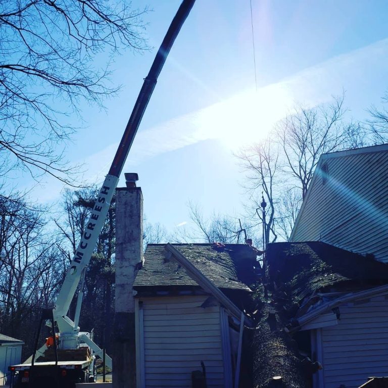 McCreesh crane removing a fallen tree from a damaged household