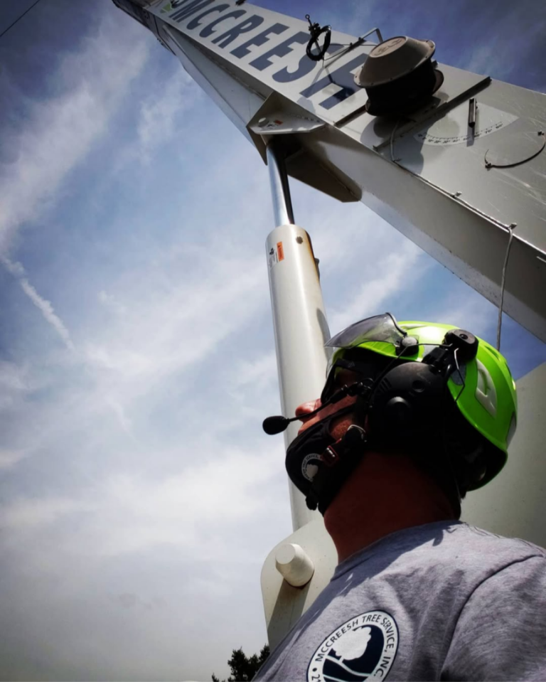 A worker and a McCreesh crane at a commercial job site.